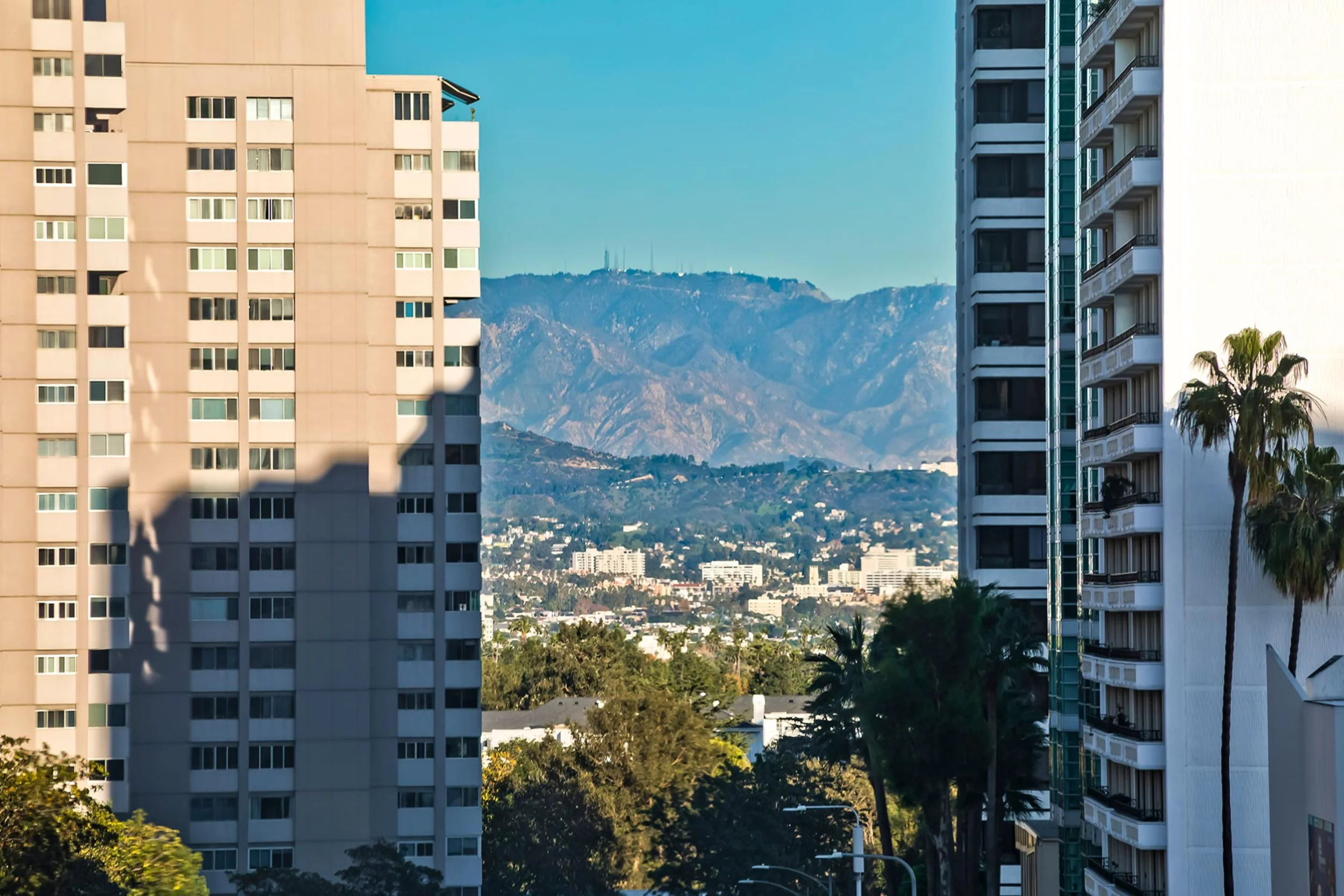 10445 Wilshire Blvd #905 photo 19