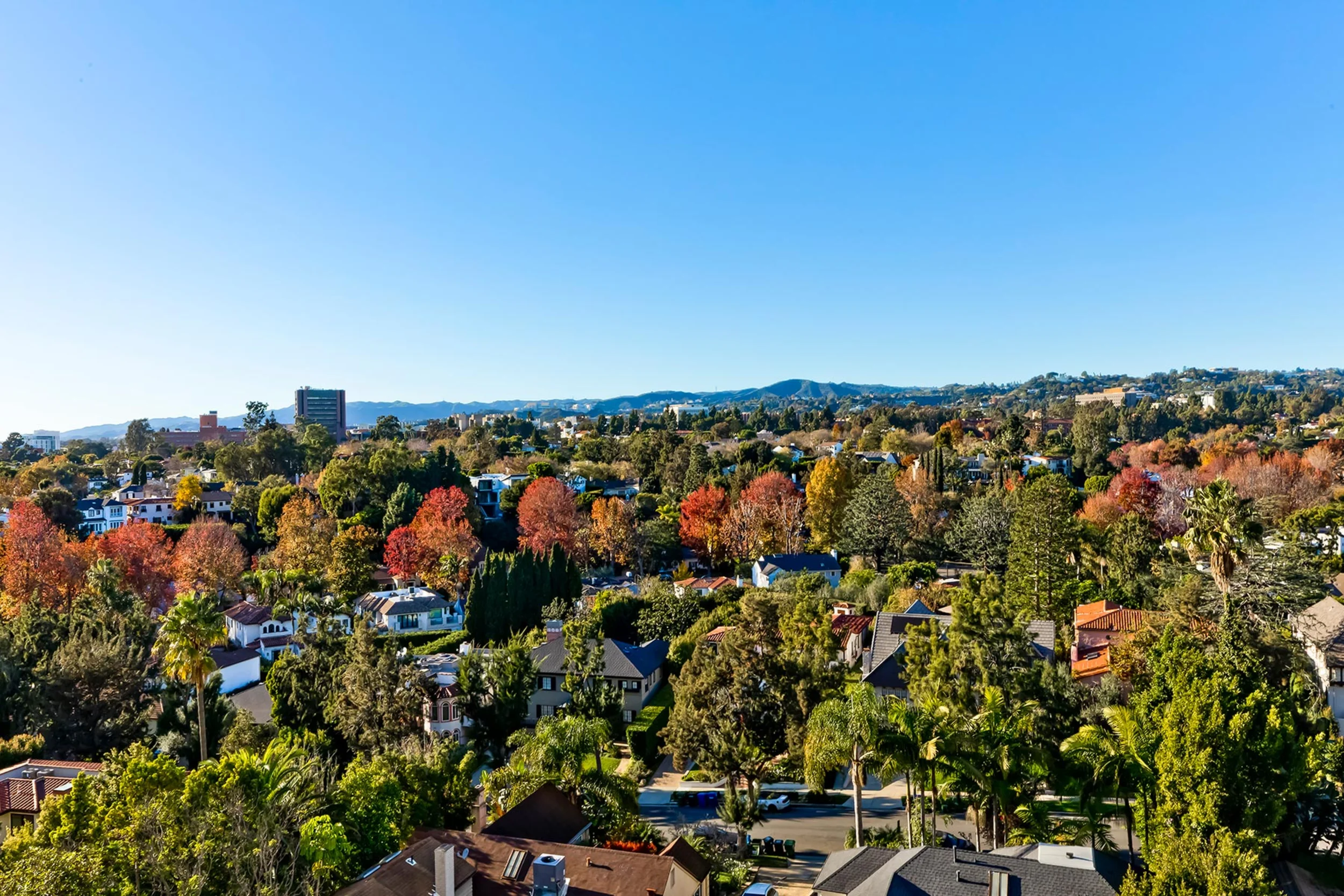 10445 Wilshire Blvd #905 photo 5