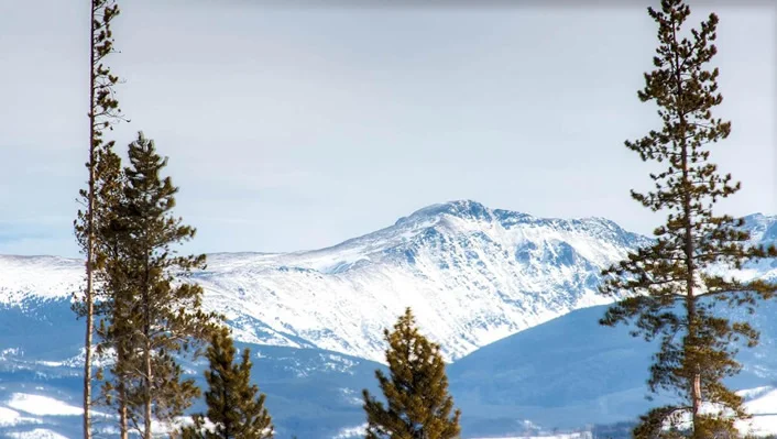 119 Elk Meadows photo 2