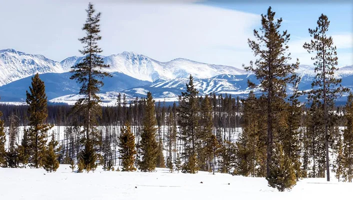 119 Elk Meadows photo 5