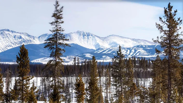 119 Elk Meadows photo 9