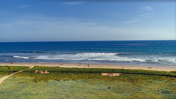 13 Seaview Drive photo 20