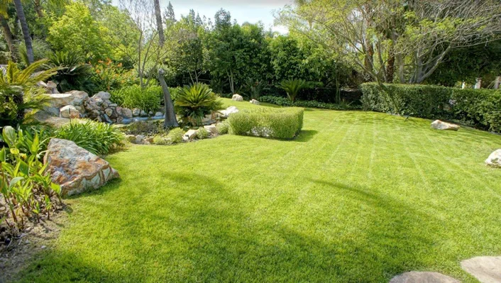 19064 Wells Drive photo 21