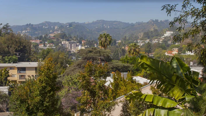 2103 Alcyona Dr photo 37