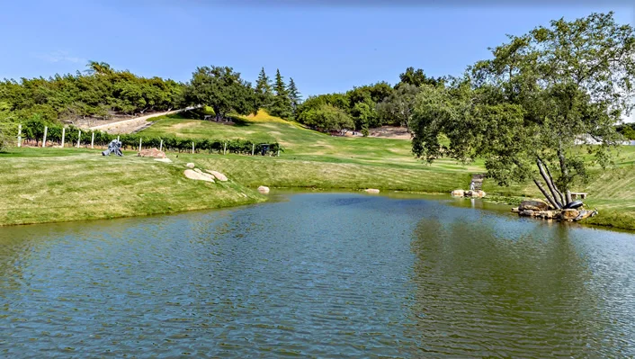 21952 Avenida De Arboles photo 7