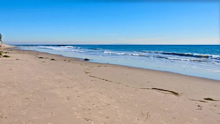 23560 Malibu Colony Rd (#66) photo 27