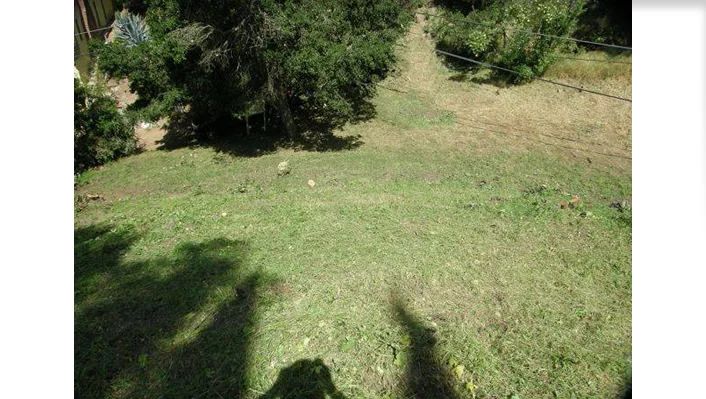 2598 N Thames Pl photo 4