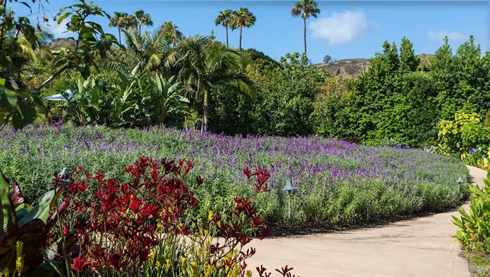 26799 Sea Vista Dr photo 24