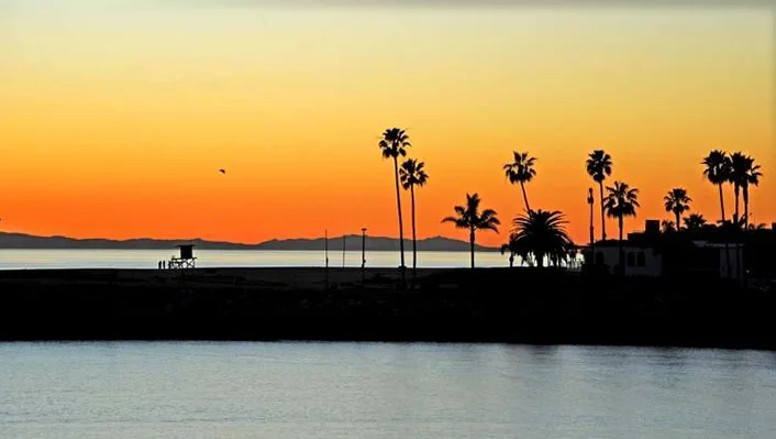 2717 Shell Street photo 14