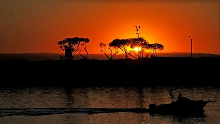 2717 Shell Street photo 16