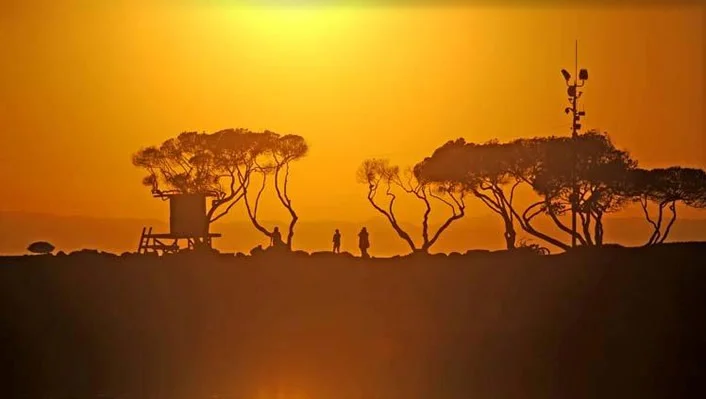 2717 Shell Street photo 19