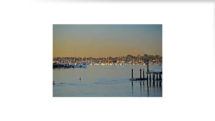 2717 Shell Street photo 33