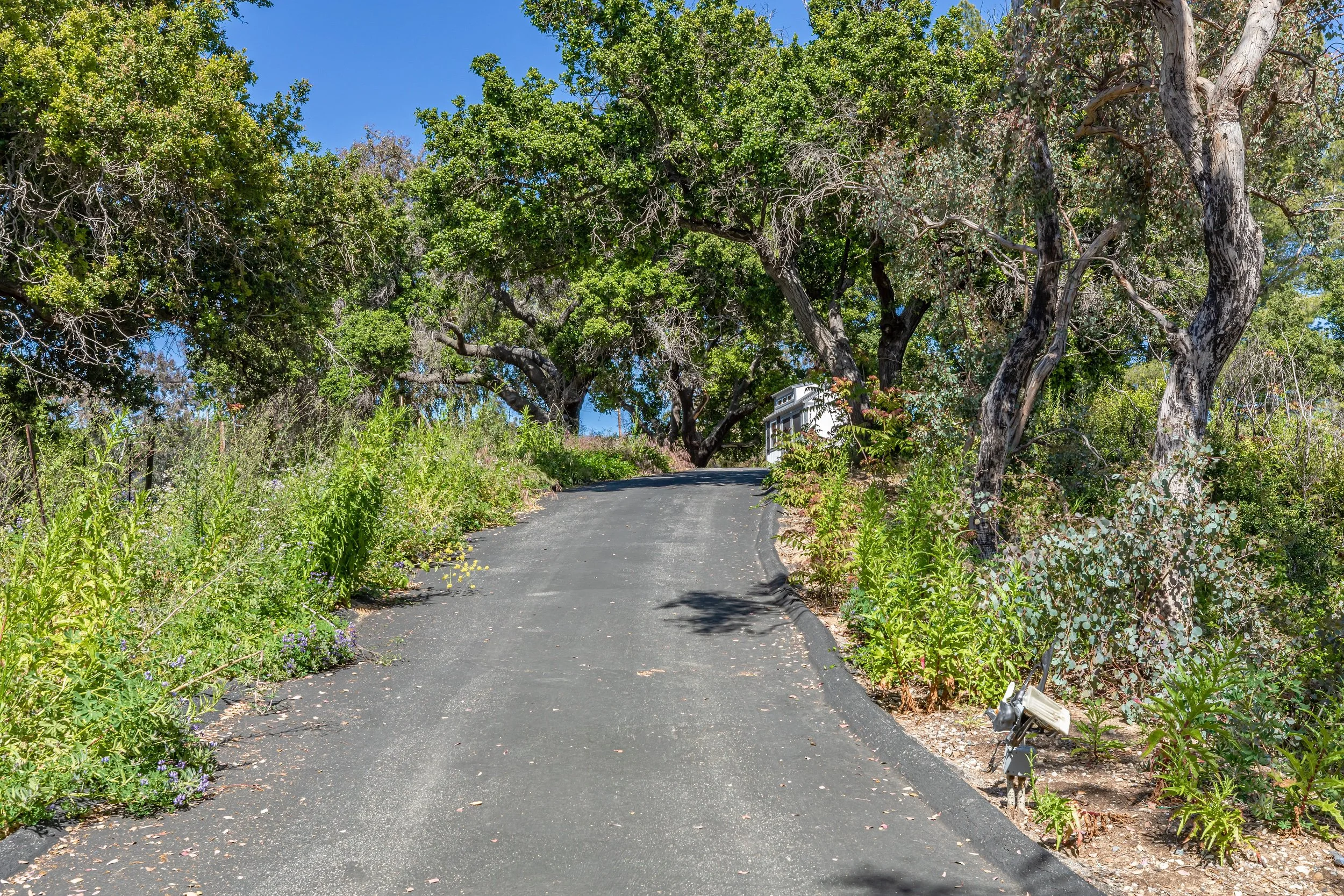 29300 Newton Canyon Rd photo 11