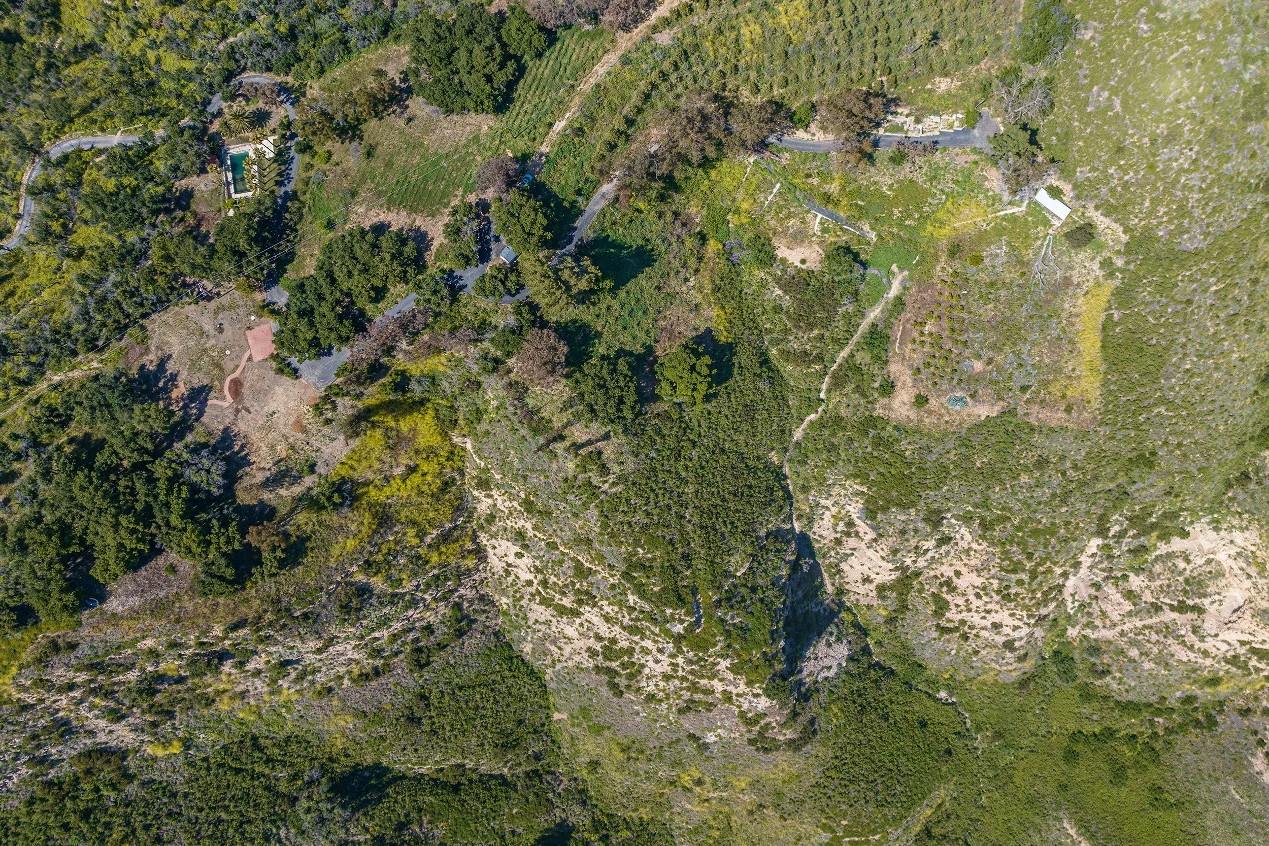 29300 Newton Canyon Rd photo 13