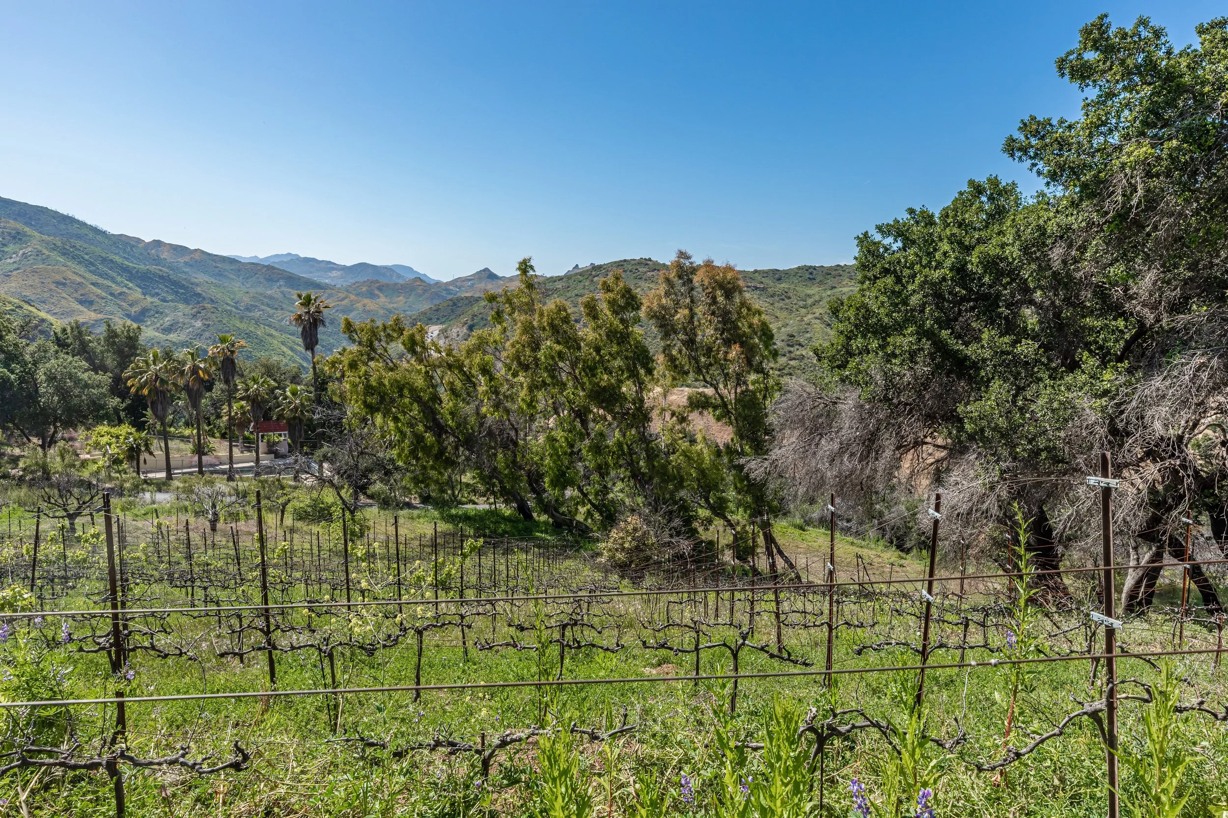 29300 Newton Canyon Rd photo 9