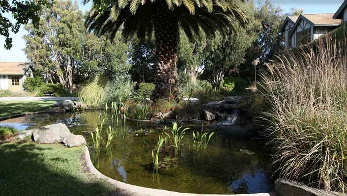 29754 Baden Place photo 31