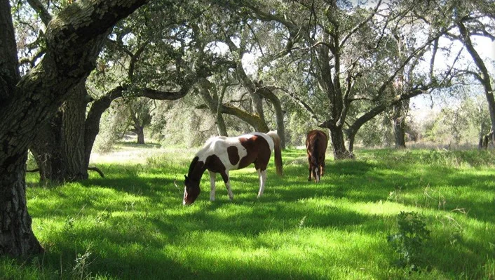 34747 Ortega Highway photo 1