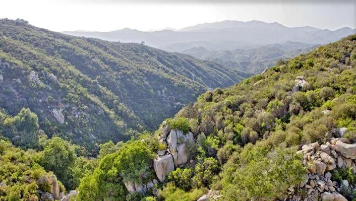 34747 Ortega Highway photo 19