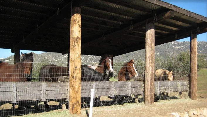 34747 Ortega Highway photo 45