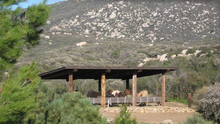 34747 Ortega Highway photo 47