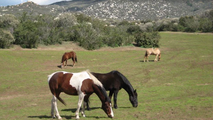 34747 Ortega Highway photo 48