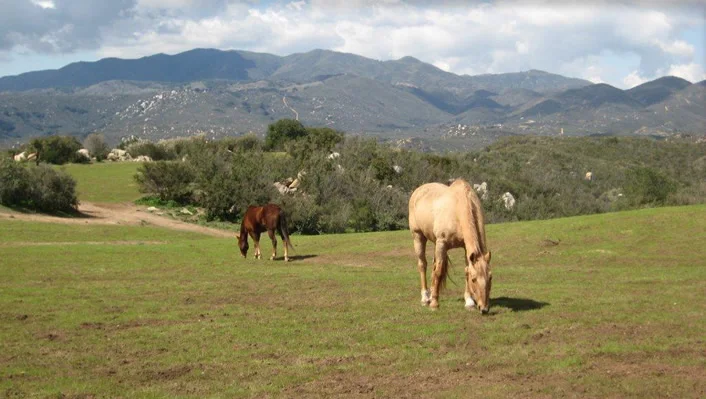 34747 Ortega Highway photo 49