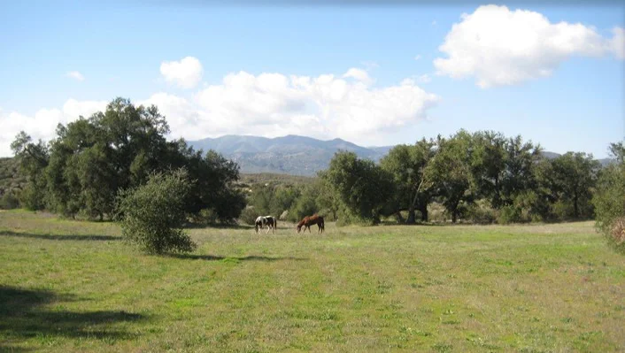 34747 Ortega Highway photo 51