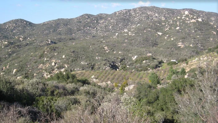 34747 Ortega Highway photo 55