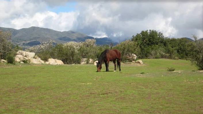 34747 Ortega Highway photo 58