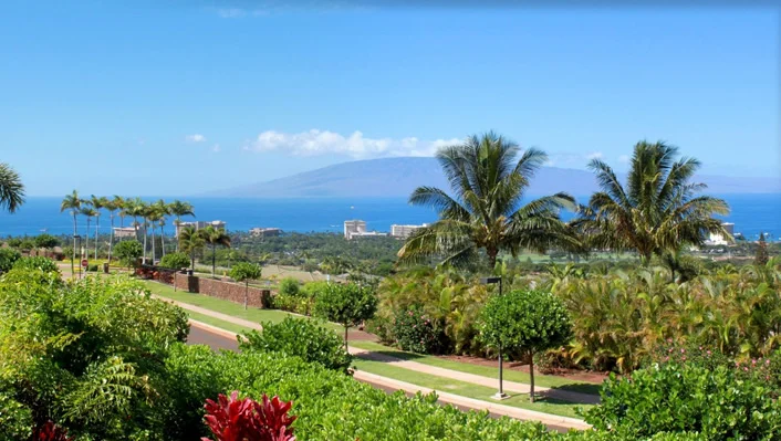 404 Wekiu Place photo 1