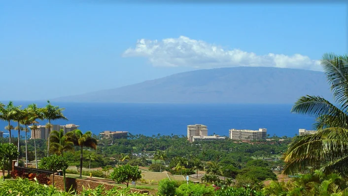 404 Wekiu Place photo 13