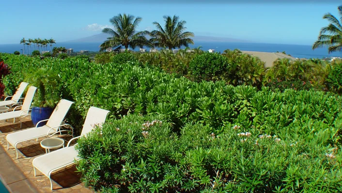 404 Wekiu Place photo 8