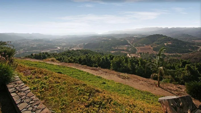 44665 La Cruz Drive photo 12