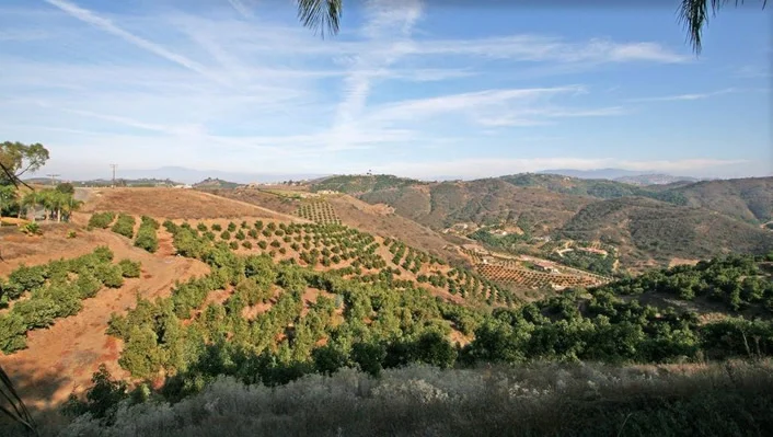 44665 La Cruz Drive photo 16