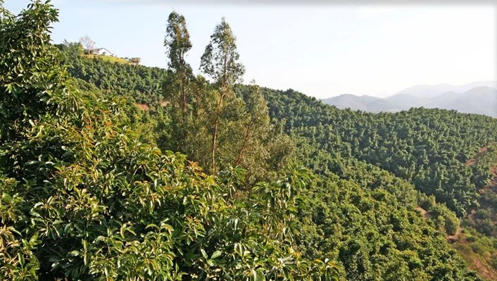 44665 La Cruz Drive photo 39