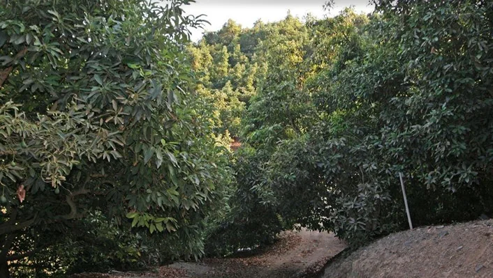 44665 La Cruz Drive photo 44