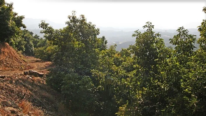 44665 La Cruz Drive photo 45