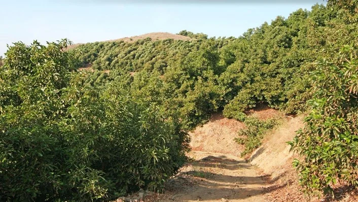 44665 La Cruz Drive photo 46