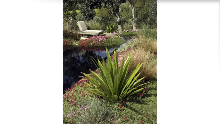 5757 Trancas Canyon Rd photo 31