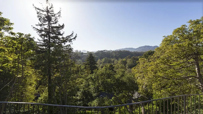 581 Amalfi Dr photo 10