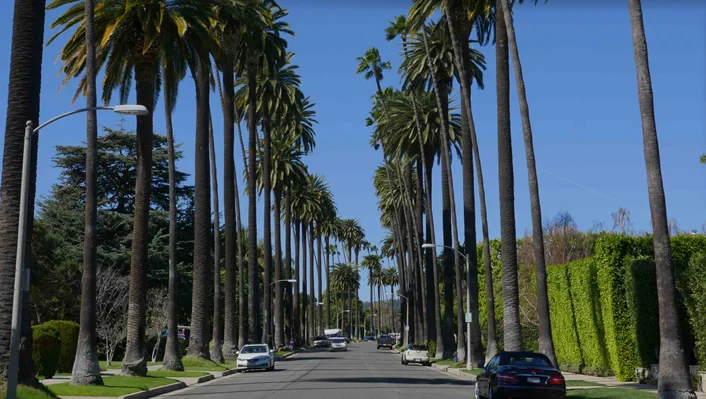 603 N Bedford Dr photo 7