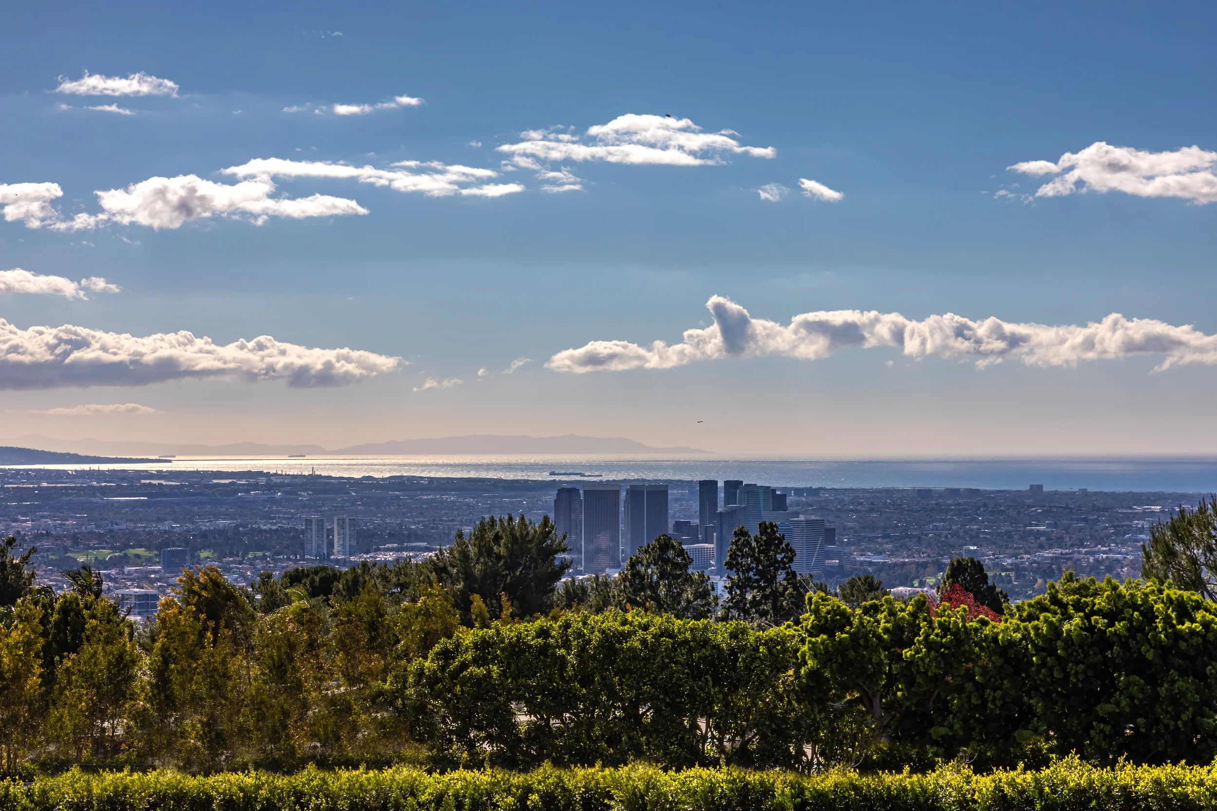 610 Arkell Dr photo 7