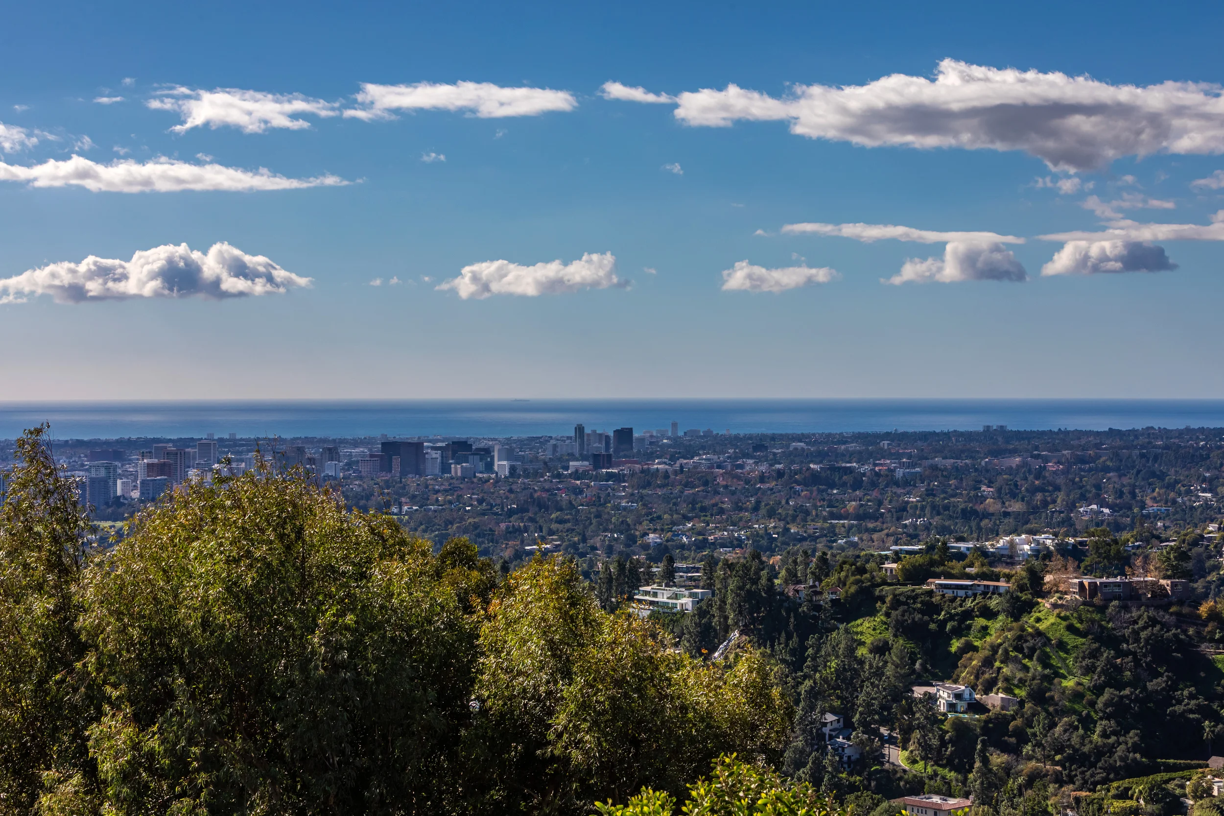 610 Arkell Dr photo 8