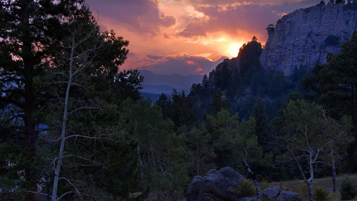 6917 Timbers Drive photo 12