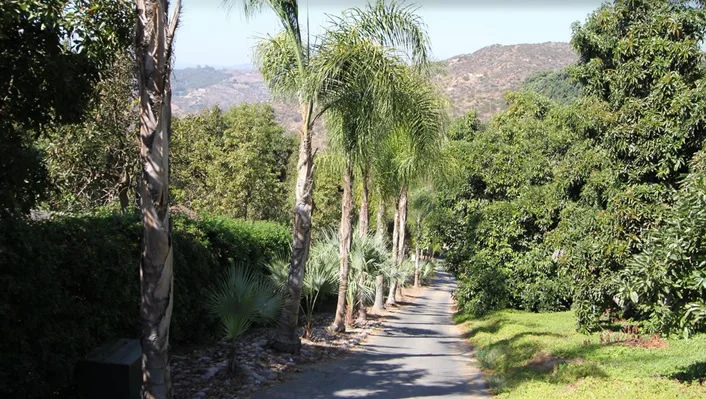 7750 West Lilac Road photo 20