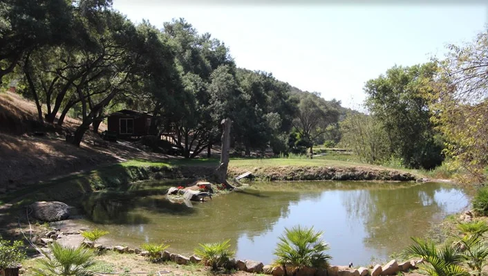 7750 West Lilac Road photo 25