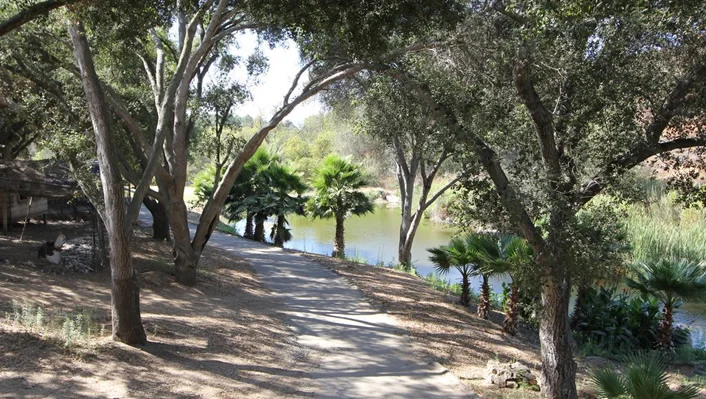 7750 West Lilac Road photo 26