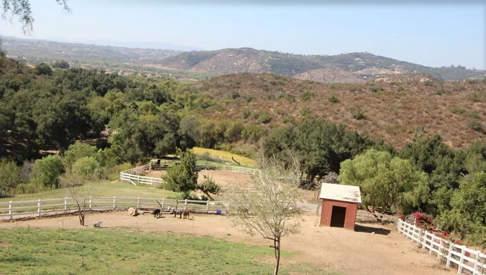 7750 West Lilac Road photo 29