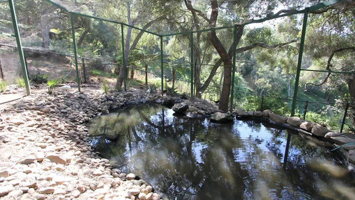 7750 West Lilac Road photo 33