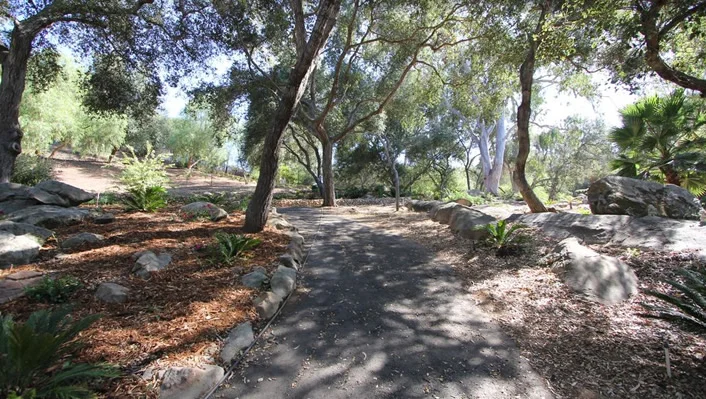 7750 West Lilac Road photo 35